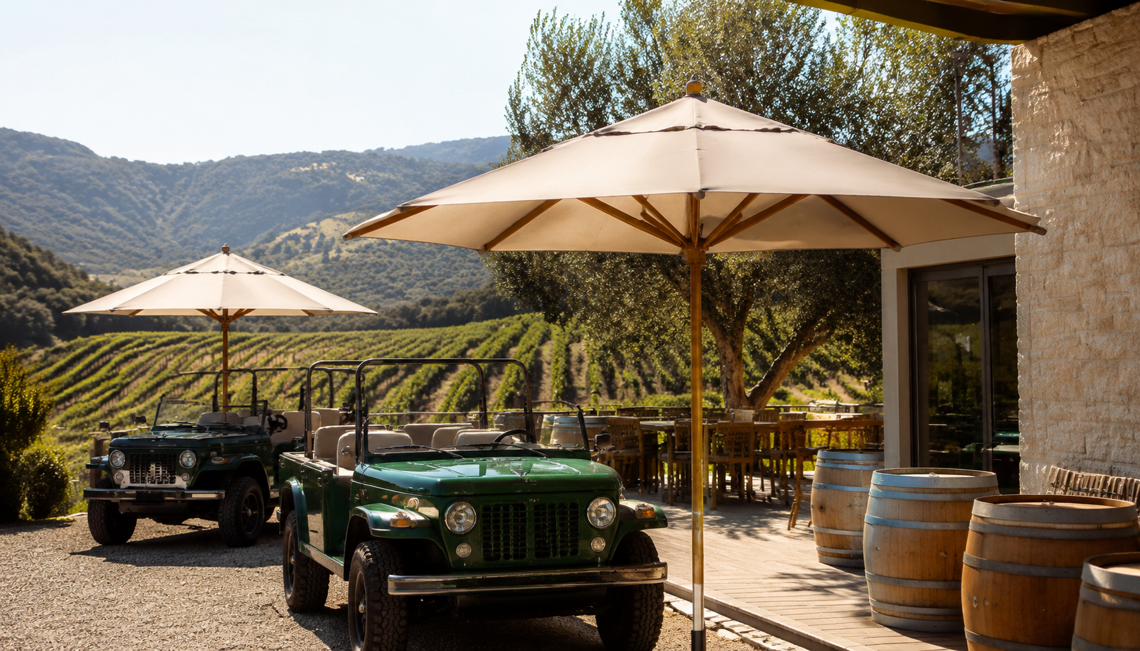 Custom Umbrellas for Winery Tours and Vineyard Hospitality